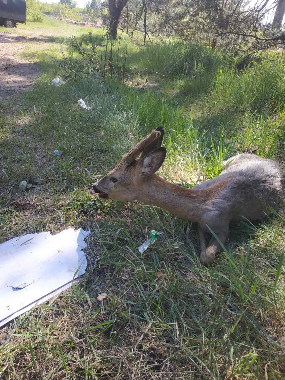 photo 2024 06 24 09 11 09
