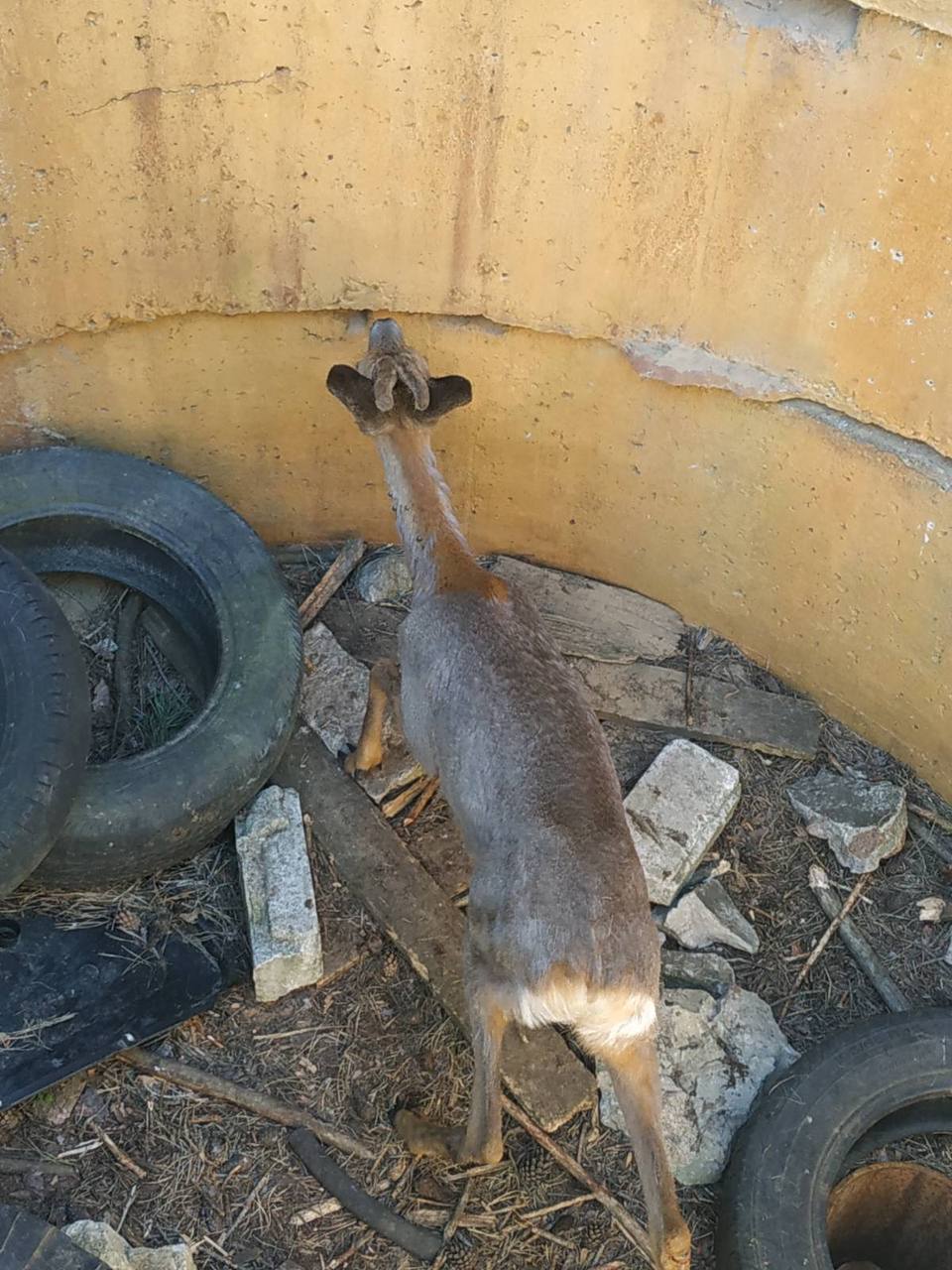 photo 2024 06 24 09 11 14
