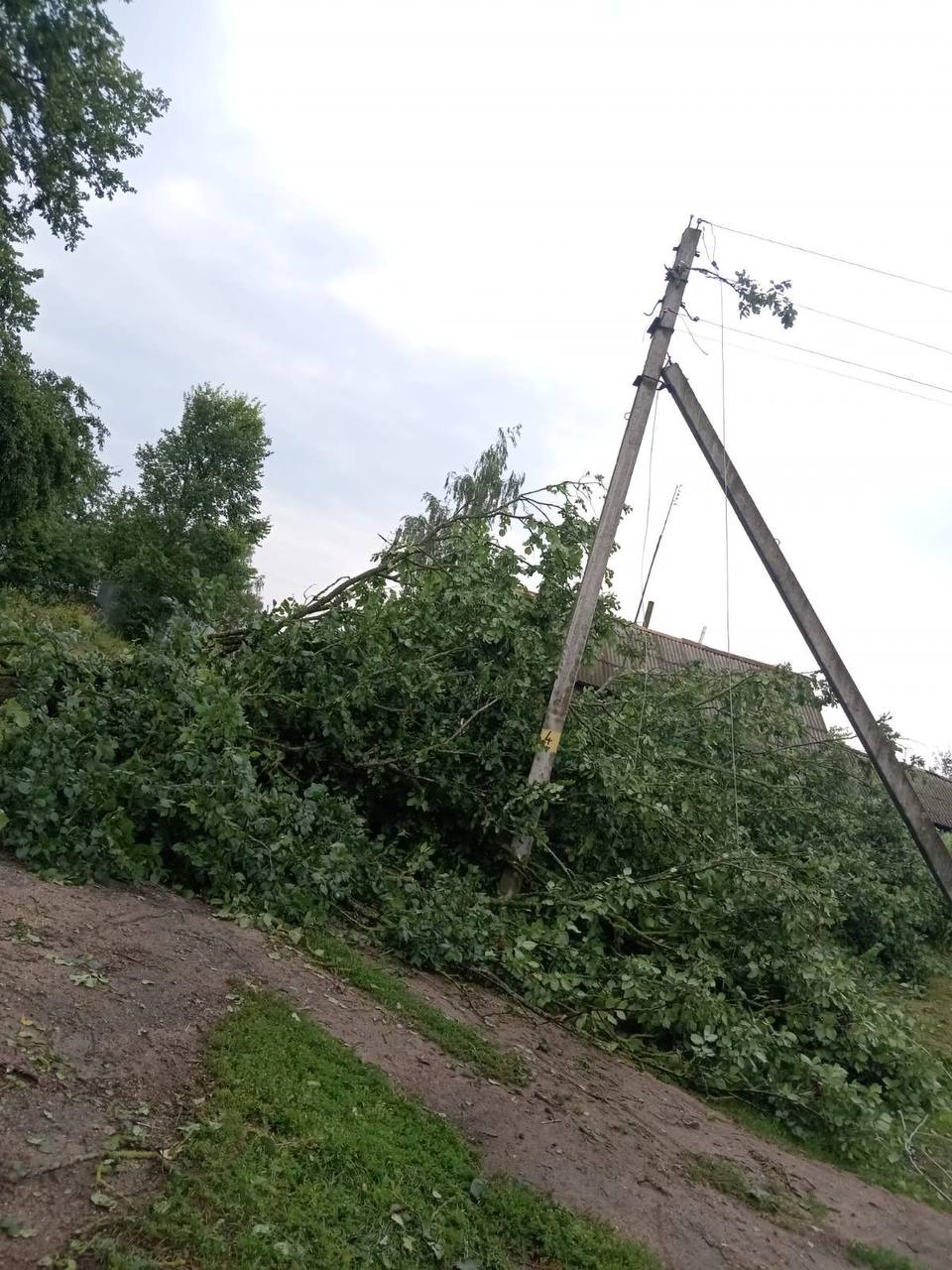 photo 2024 07 17 10 00 12